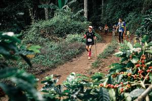 BIB: 
                            <button type="button" onclick="openModal(25856239)" class="btn btn-primary btn-sm float-right btn-popup" data-toggle="modal" data-target=".modal-high-quality">
                        <i class="fas fa-shopping-cart"></i> Add to Cart
                    </button>
                                            <button type="button" onclick="isThisMe(25856239, true)" class="btn btn-success btn-sm float-right btn-popup btn-isme hidden" data-toggle="tooltip" data-placement="bottom" title="นี่คือรูปของคุณใช่ไหม คลิกที่นี่เพื่อเอาเข้าอัลบั้ม">
                        <i class="fas fa-plus"></i> Add to album
                    </button>
                    <button type="button" onclick="isThisMe(25856239, false)" class="btn btn-warning btn-sm float-right btn-popup btn-isnotme hidden">
                        <i class="fas fa-ban"></i> Remove from album
                    </button>